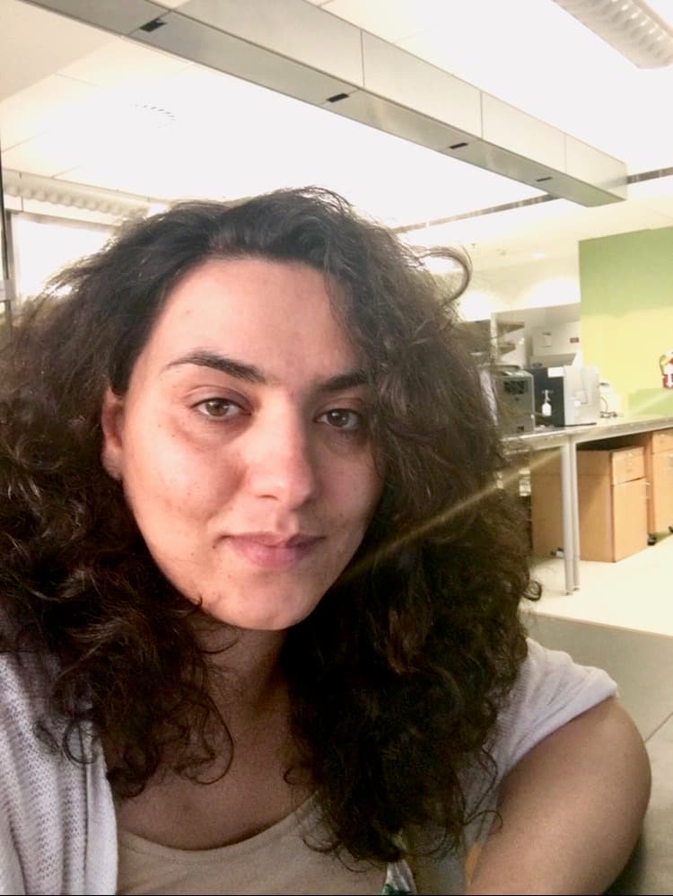 Maryam Tavafoghi