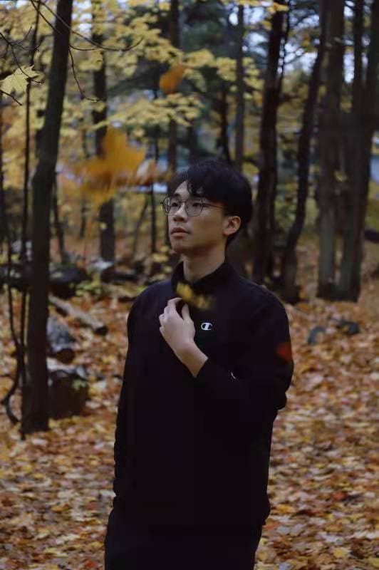 Lingchen Kong